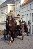 Bruges carriage