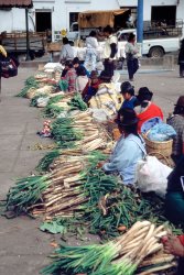 Sangolqui market