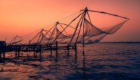 Chinese nets, Kochi
