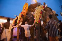 Elephant procession, Kochi