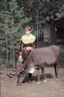 Sami girl with reindeer