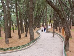 Silla Tombs Park, Gyeongju