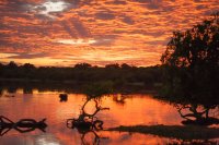 Sunrise, Yala National Park