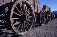 20 mule train, Death Valley