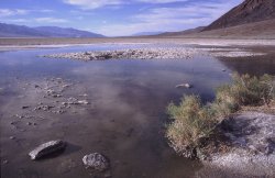 Badwater Pool, Death Valley