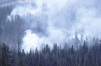 Controlled burning, Yosemite