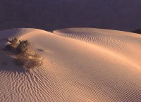 Sand Dunes, Death Valley